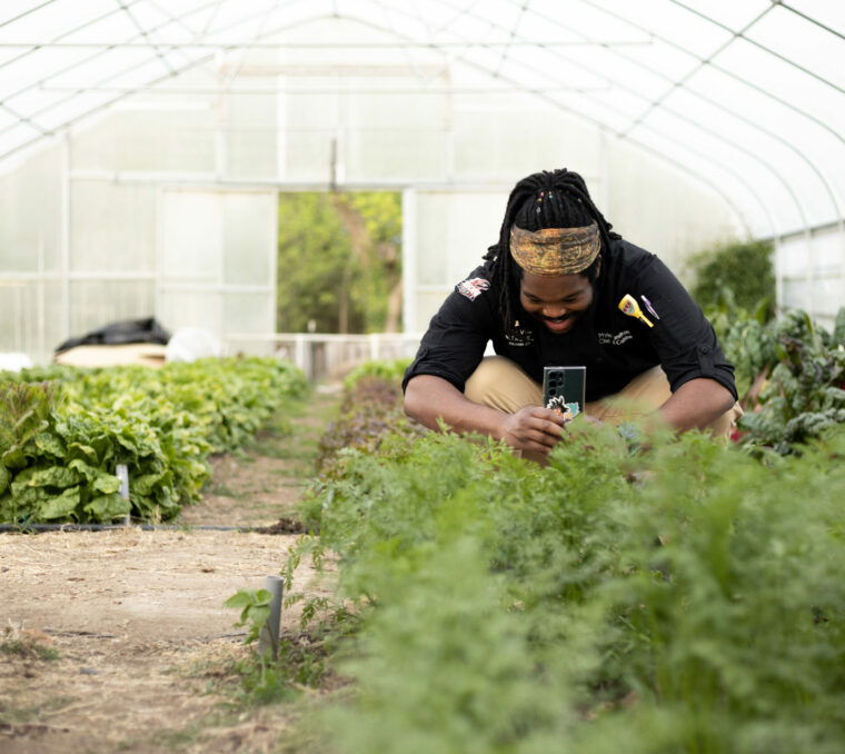 myles at loy farm, picturing crops